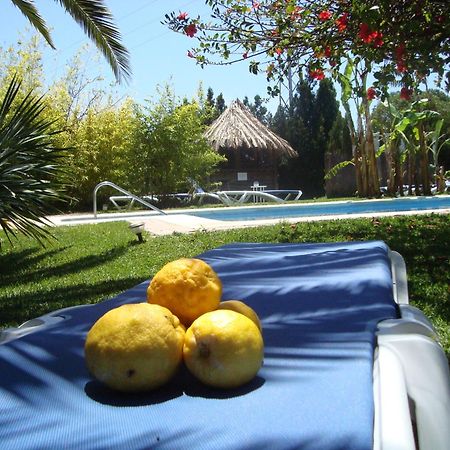 Bungalows Puravida サオラ エクステリア 写真