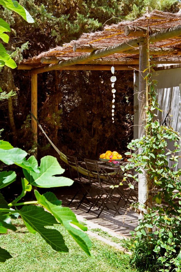 Bungalows Puravida サオラ エクステリア 写真