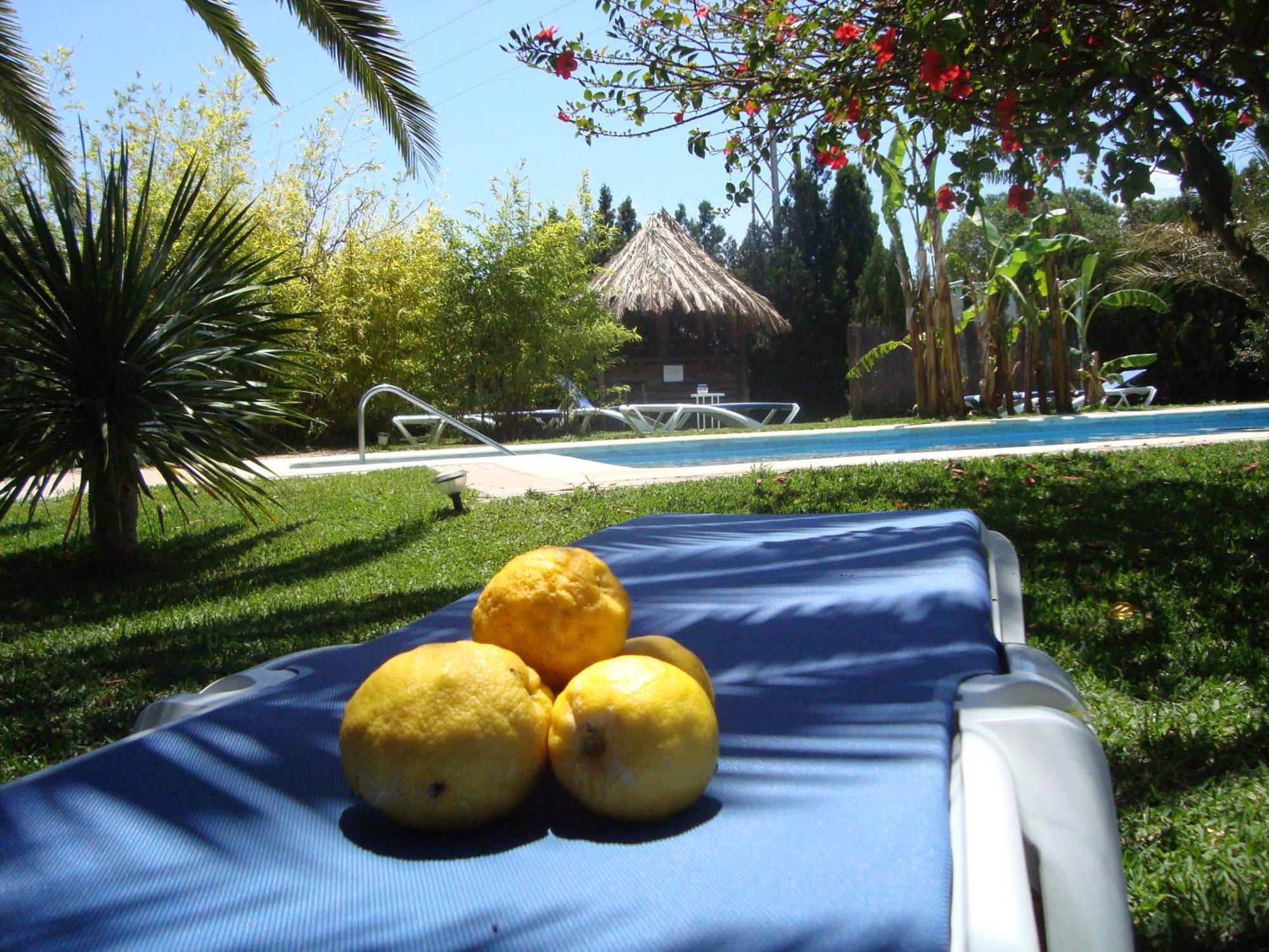 Bungalows Puravida サオラ エクステリア 写真